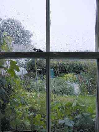 Journal of a Writing Man